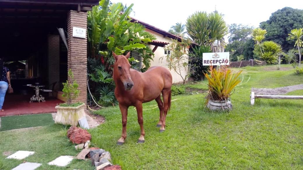 Hotel Fazenda Agua Da Prata Agri Turismo Camaçari Exteriér fotografie