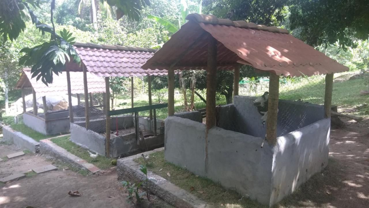 Hotel Fazenda Agua Da Prata Agri Turismo Camaçari Exteriér fotografie